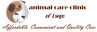 Veterinarian in Largo, FL | Animal Care Clinic of Largo